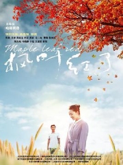 枫叶红了 枫叶红了