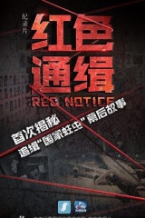 红色通缉 红色通缉
