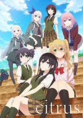 柑橘味香气 柑橘味香气