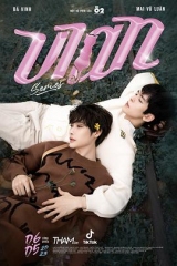 喵不可言2023 喵不可言2023