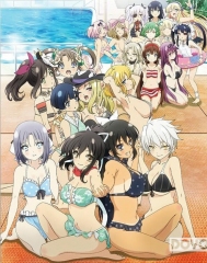 闪乱神乐少女们的选择满是泳装的前夜祭 闪乱神乐少女们的选择满是泳装的前夜祭