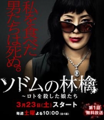 索多玛的苹果 索多玛的苹果