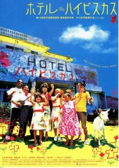 冲绳小芙蓉 冲绳小芙蓉