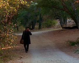 伪装者第三季 伪装者第三季