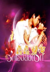 恋恋情深 恋恋情深