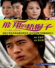 飞翔的梧桐子 飞翔的梧桐子