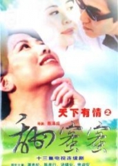 天下有情之甜蜜蜜国语 天下有情之甜蜜蜜国语