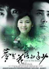 梦里花落知多少 梦里花落知多少