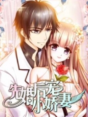 先婚后宠小娇妻第一季 先婚后宠小娇妻第一季