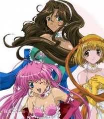 内衣战士蝴蝶玫瑰 内衣战士蝴蝶玫瑰