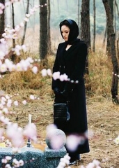 春花秋月2002 春花秋月2002