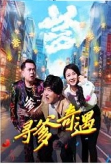 寻爹奇遇 寻爹奇遇