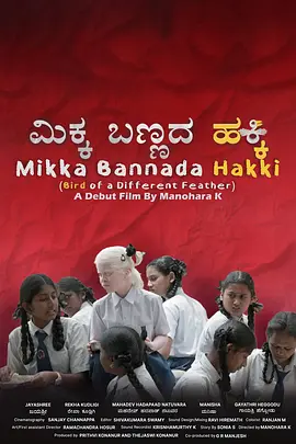 异羽之鸟 异羽之鸟