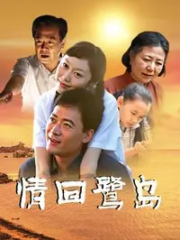 情回鹭岛 情回鹭岛