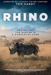 犀牛2025 犀牛2025